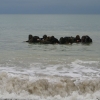 Force Recon Course 2015_064